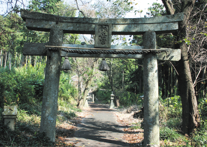 深い鎮守の杜に抱かれた依岳神社。/