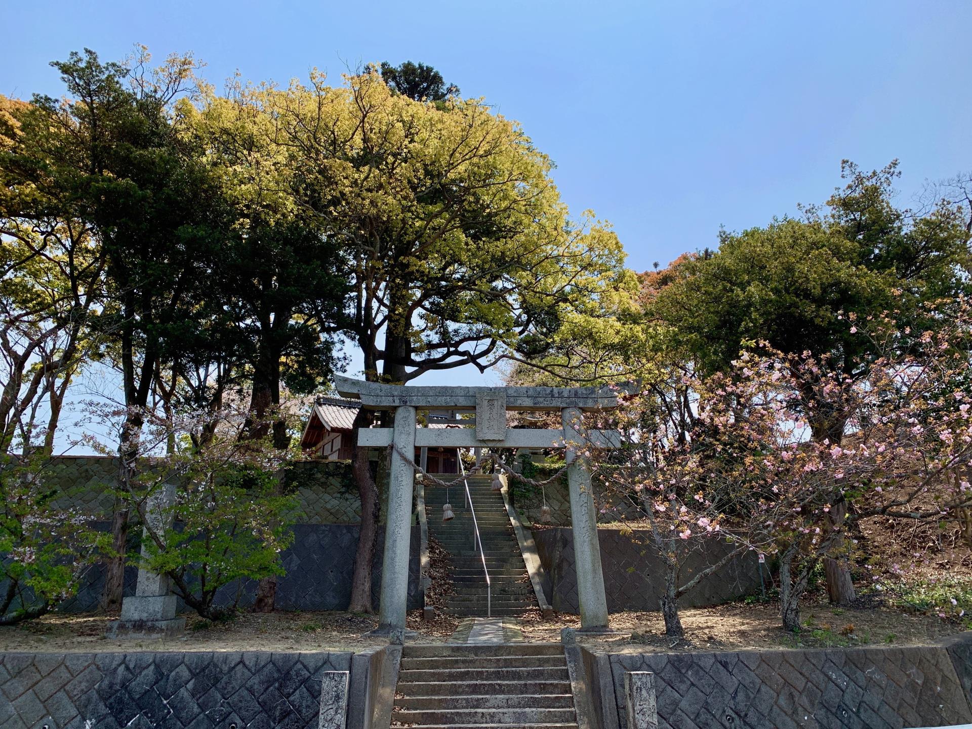 須賀神社/
